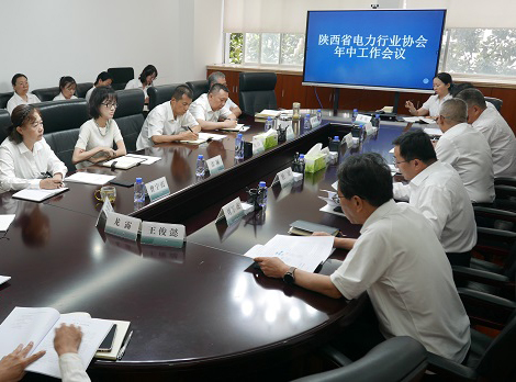 陕西省电力行业协会召开本部2023年年中工作会议